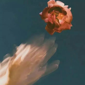 中文字母母乳白音日本
