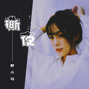 中文字母母乳白音日本
